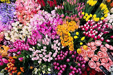 《木卫四协议》确认使用D加密 最低GTX 1060