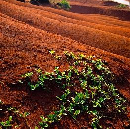 系列最新作《RPG Maker Unite》率先登陆Unity Asset Store